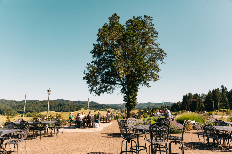Patio with people at tables and an oak tree, with valley views at Sweet Cheeks Winery.